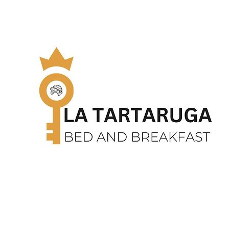 시에나 La Tartaruga 아파트 외부 사진
